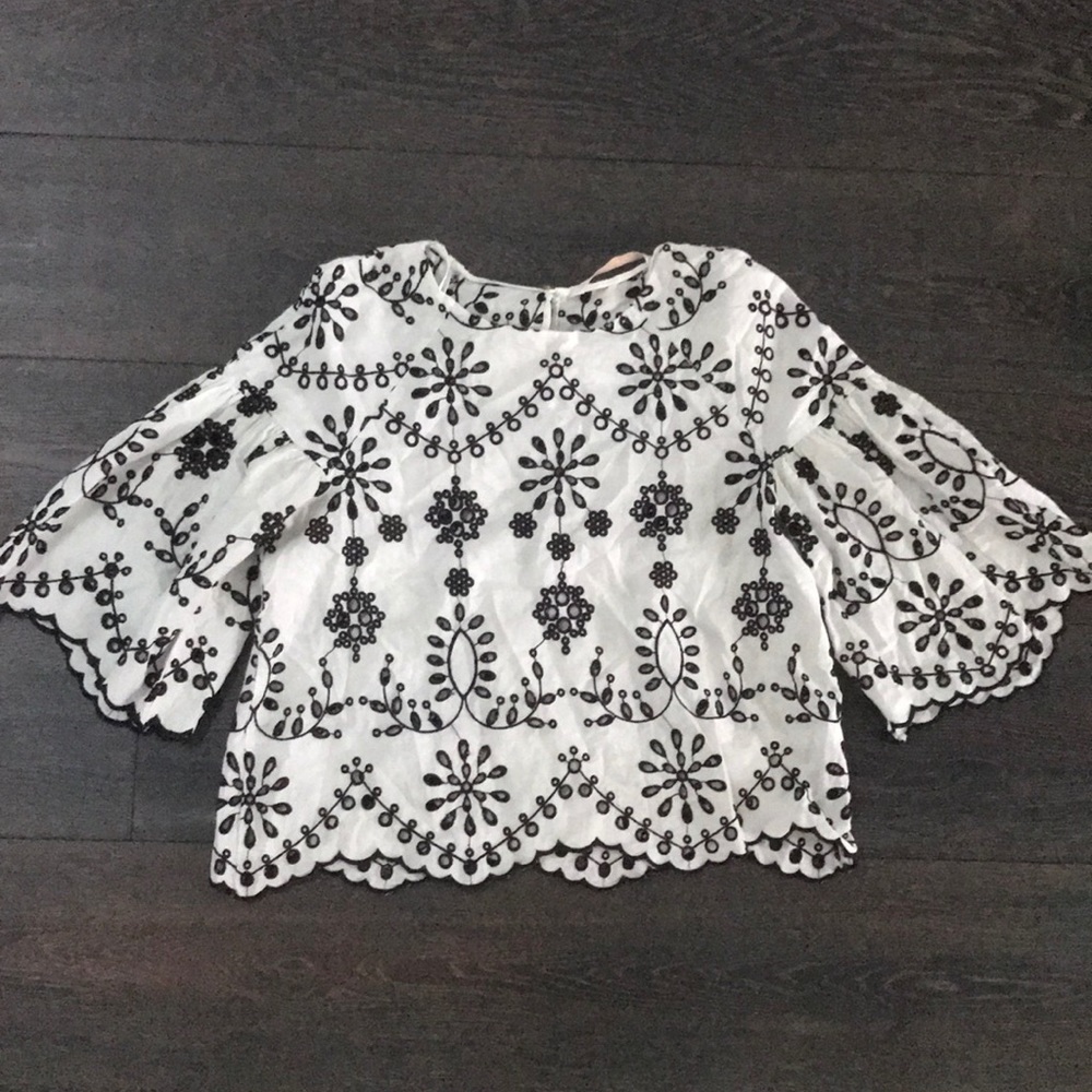 Zara Trafaluc Collection Embroidered Crop